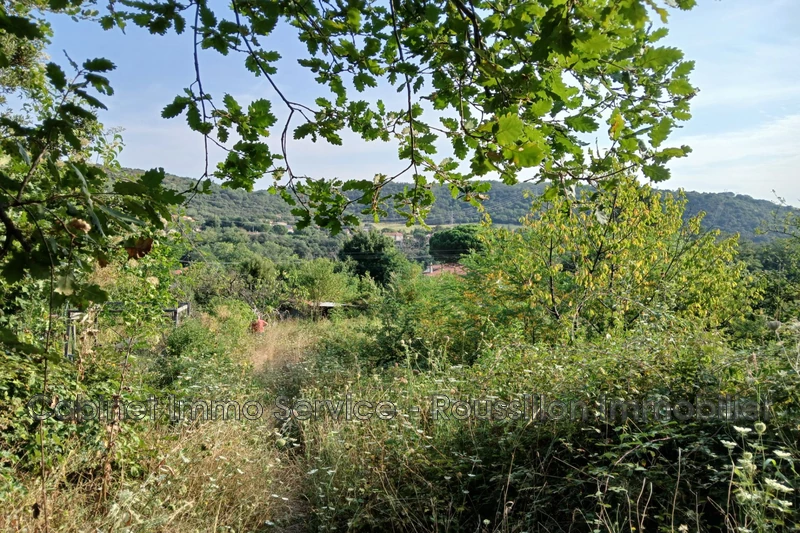 Vente terrain agricole Céret  