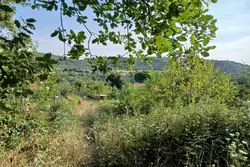 Vente terrain agricole Céret  
