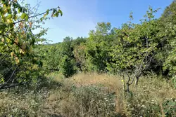 Vente terrain agricole Céret  