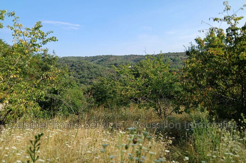 Vente terrain agricole Céret  