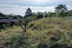 Vente terrain agricole Céret  