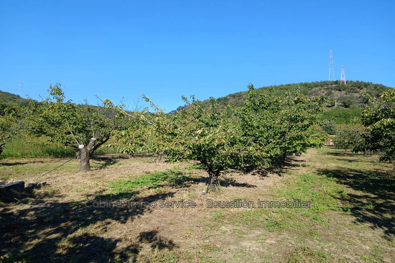Vente terrain agricole Céret  