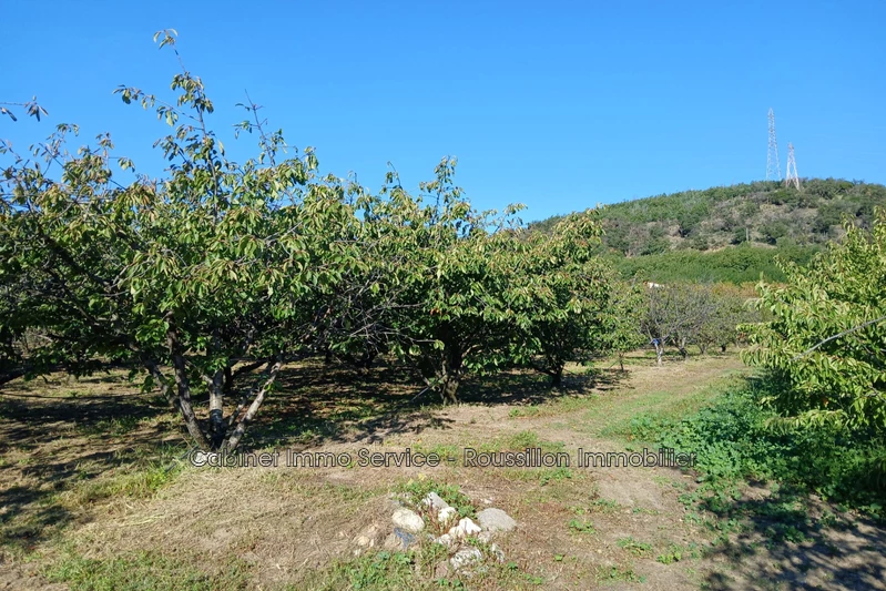 Vente terrain agricole Céret  