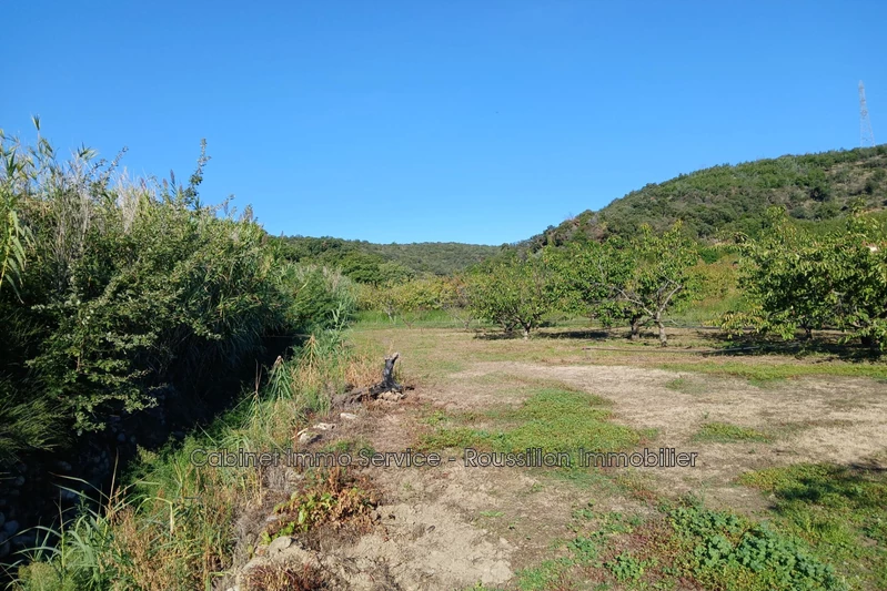 Vente terrain agricole Céret  