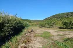 Vente terrain agricole Céret  