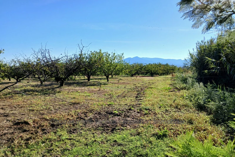 Vente terrain agricole Céret  