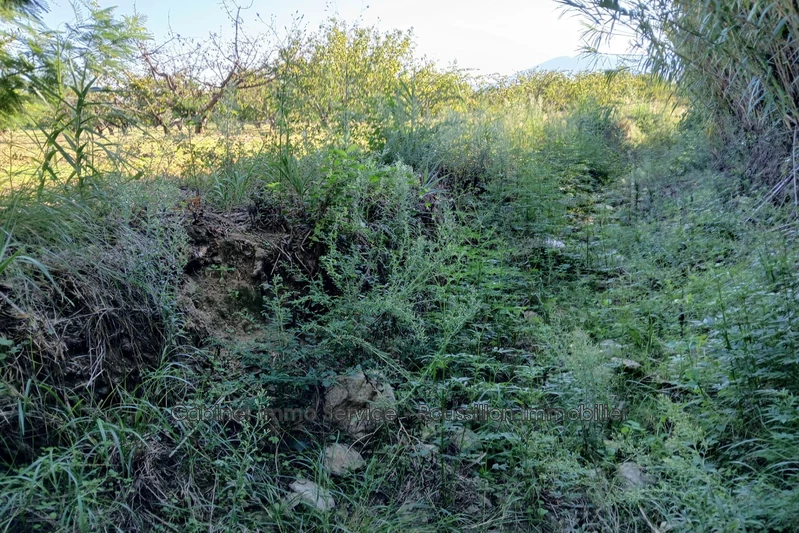 Vente terrain agricole Céret  
