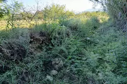 Vente terrain agricole Céret  
