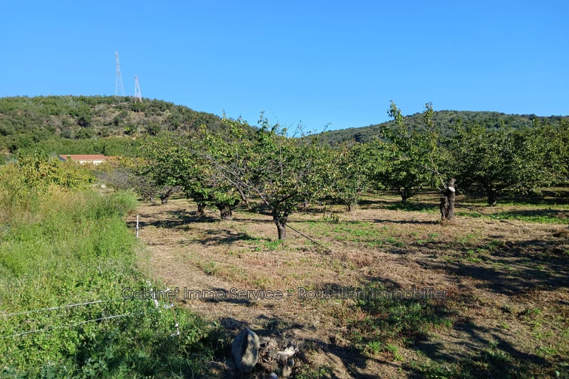 Vente terrain agricole Céret  