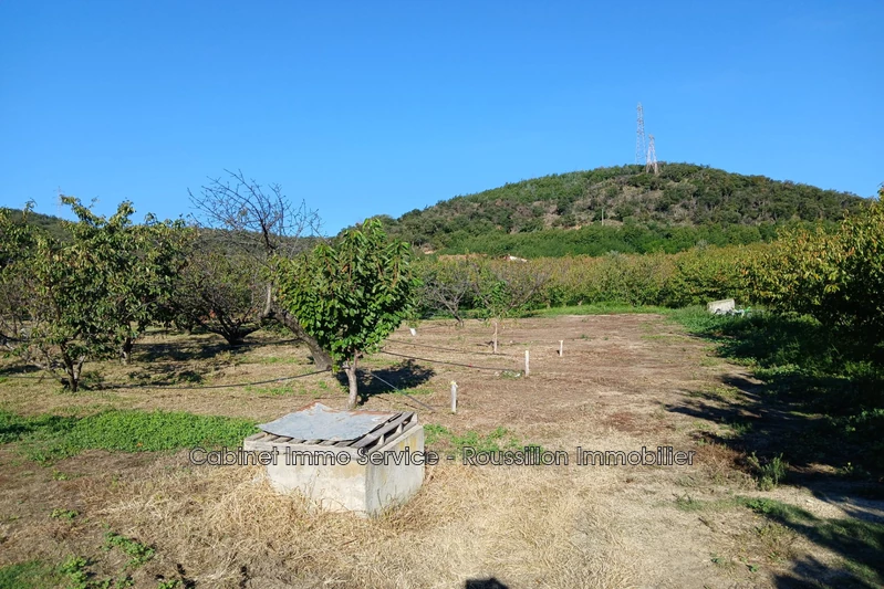 Vente terrain agricole Céret  