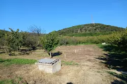 Vente terrain agricole Céret  