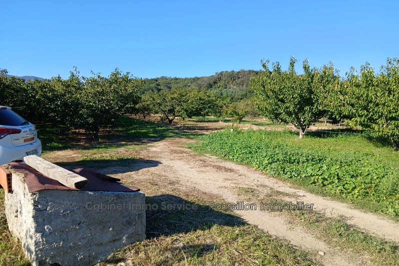 Vente terrain agricole Céret  