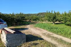 Vente terrain agricole Céret  