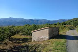 Vente terrain agricole Céret  
