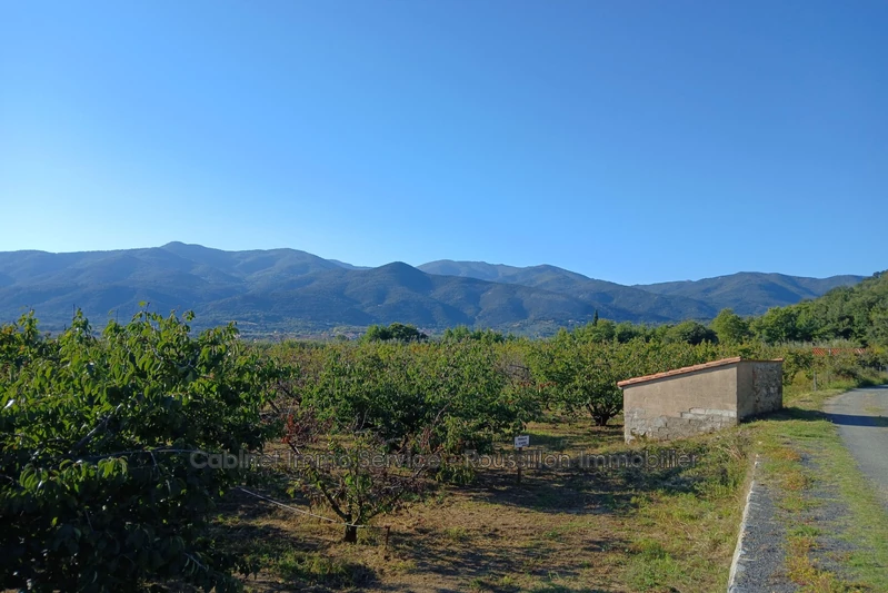 Vente terrain agricole Céret  
