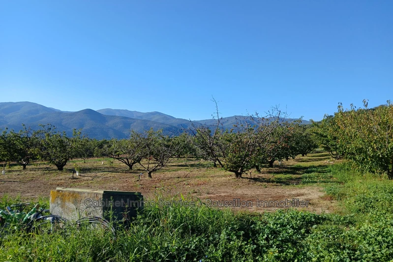 Vente terrain agricole Céret  