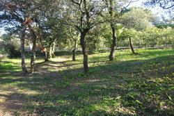Vente villa Céret  