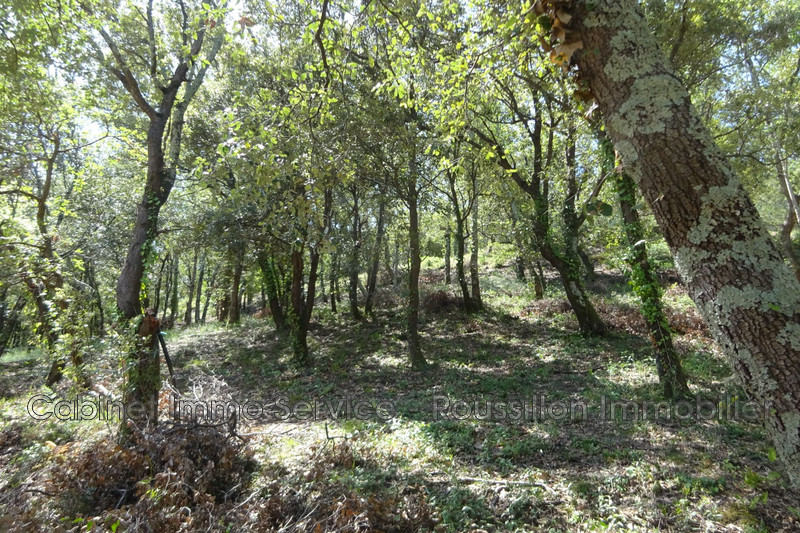 Vente villa Reynès  