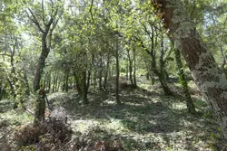 Vente villa Reynès  