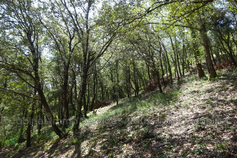 Vente villa Reynès  
