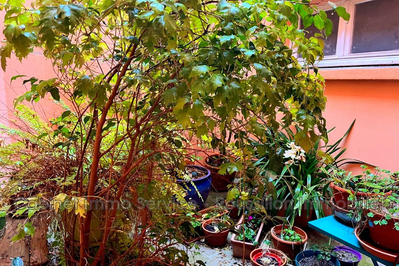 Vente maison de ville Banyuls-dels-Aspres  