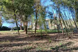 Vente maison de caractère Prades  