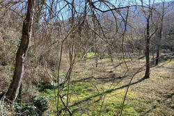 Vente villa Prats-de-Mollo-la-Preste  