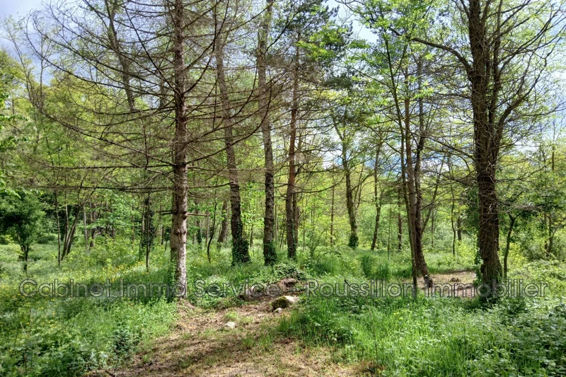 Vente villa Prats-de-Mollo-la-Preste  