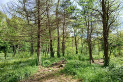 Vente villa Prats-de-Mollo-la-Preste  