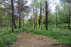 Vente villa Prats-de-Mollo-la-Preste  