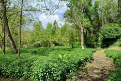 Vente villa Prats-de-Mollo-la-Preste  