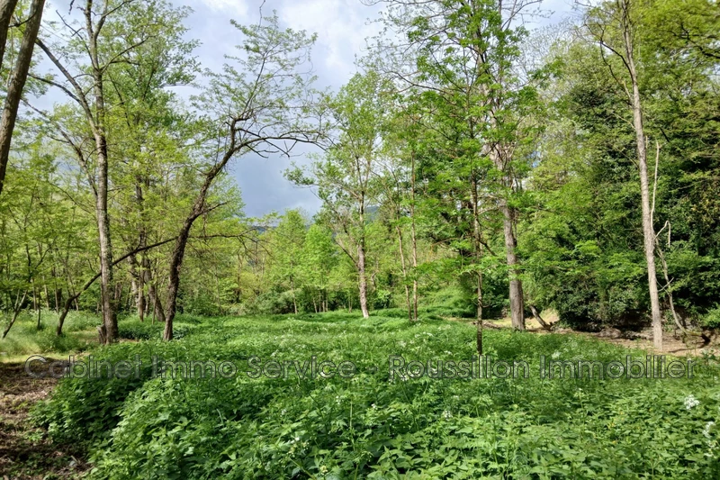 Vente villa Prats-de-Mollo-la-Preste  