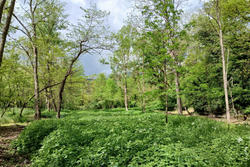 Vente villa Prats-de-Mollo-la-Preste  