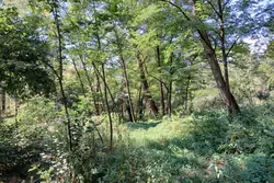 Vente villa Prats-de-Mollo-la-Preste  