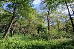Vente villa Prats-de-Mollo-la-Preste  