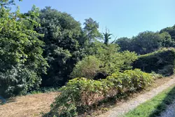 Vente maison de campagne Reynès  