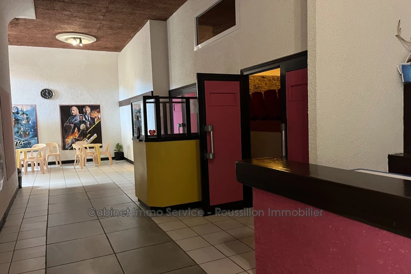 Vente idéal investisseur Céret  