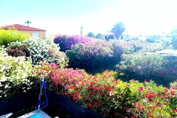 Vente maison Torreilles  