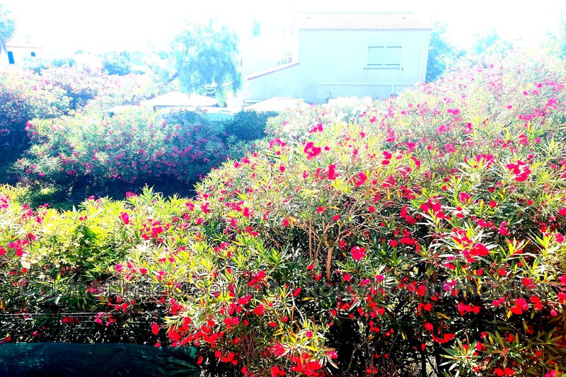 Vente maison Torreilles  