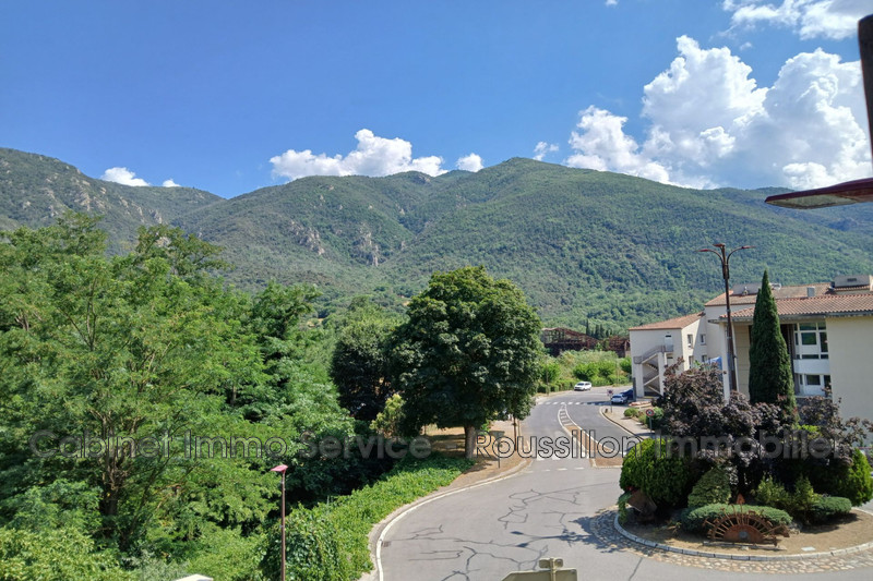 Vente maison en pierre Arles-sur-Tech  