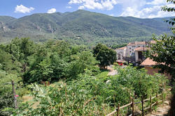 Vente maison en pierre Arles-sur-Tech  