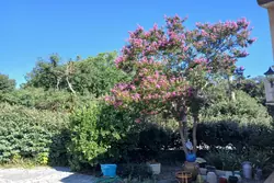 Vente villa Céret  