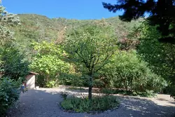 Vente maison Arles-sur-Tech  