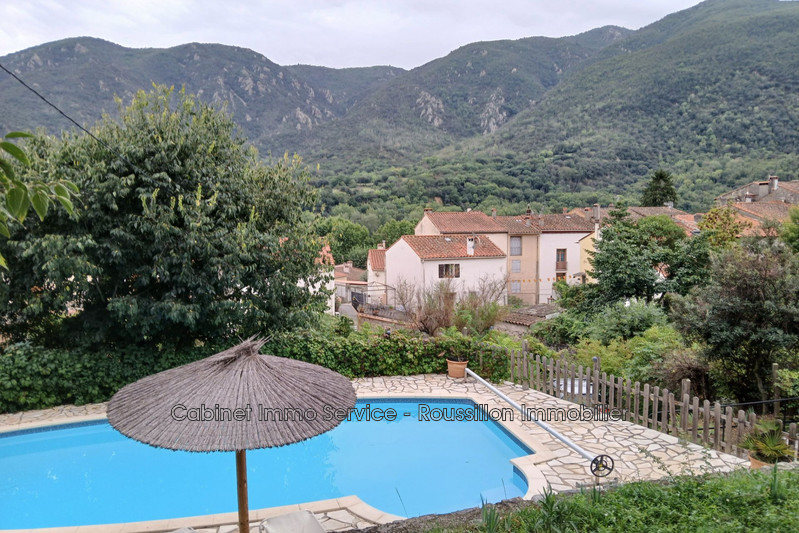 Propriété Arles-sur-Tech Vallespir,   achat propriété  5 chambres   180&nbsp;m&sup2;