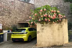 Vente maison de village Ortaffa  