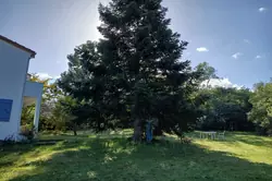 Vente maison Reynès  