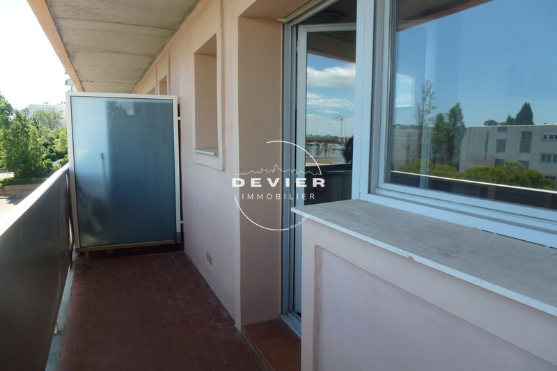 Appartement A Louer Montpellier Devier Immobilier