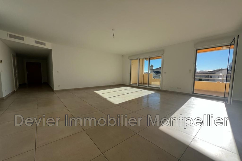 Appartement Montpellier Comédie,  Location appartement  4 pièces   125&nbsp;m&sup2;