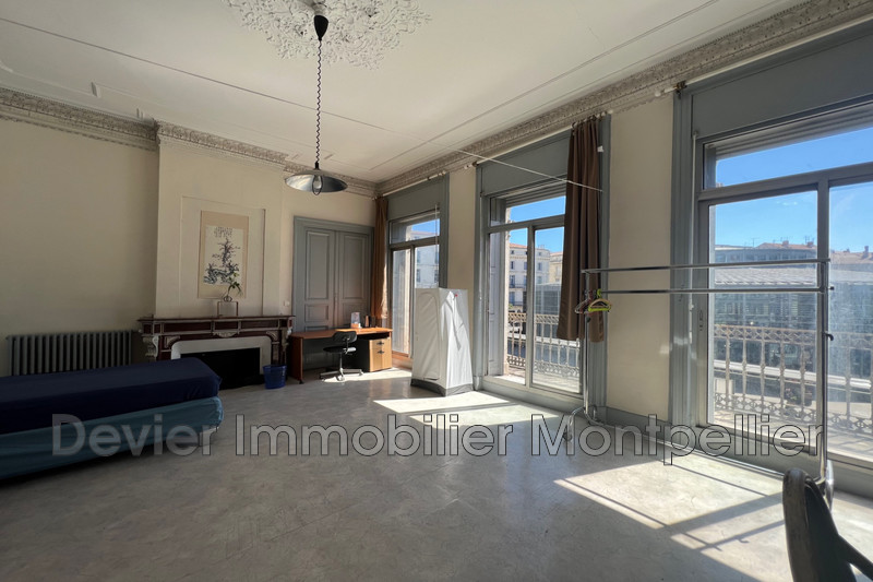 Photo Apartment Montpellier Ecusson,   to buy apartment  7 rooms   204&nbsp;m&sup2;