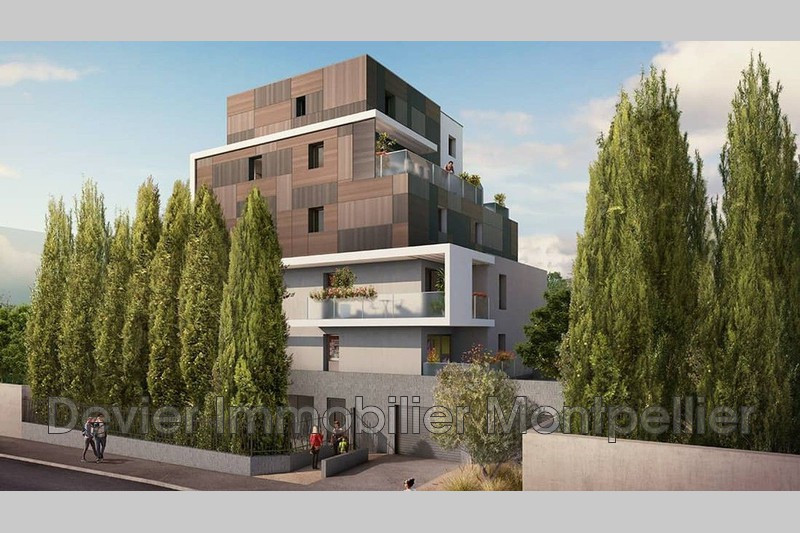 Appartement Montpellier Aiguelongue,   achat appartement  3 pièces   78&nbsp;m&sup2;